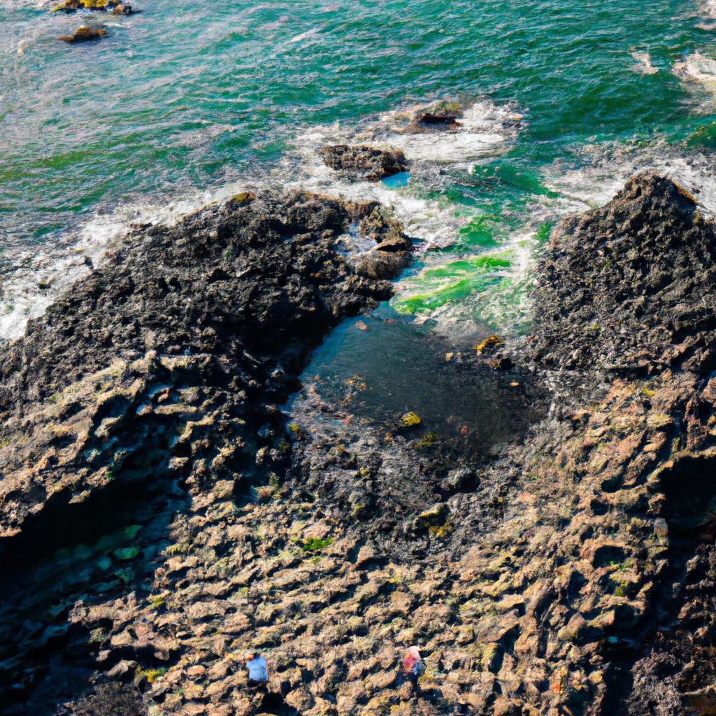 The Giant's Causeway, Northern Ireland: A Wonder of Nature - TooLacks