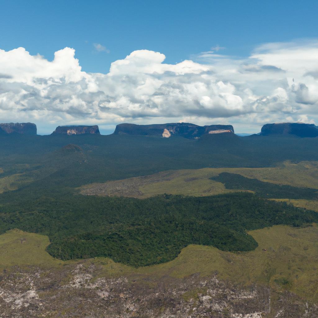Mount Roraima is a majestic sight from above