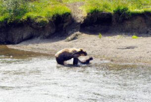 Denali National Park, USA