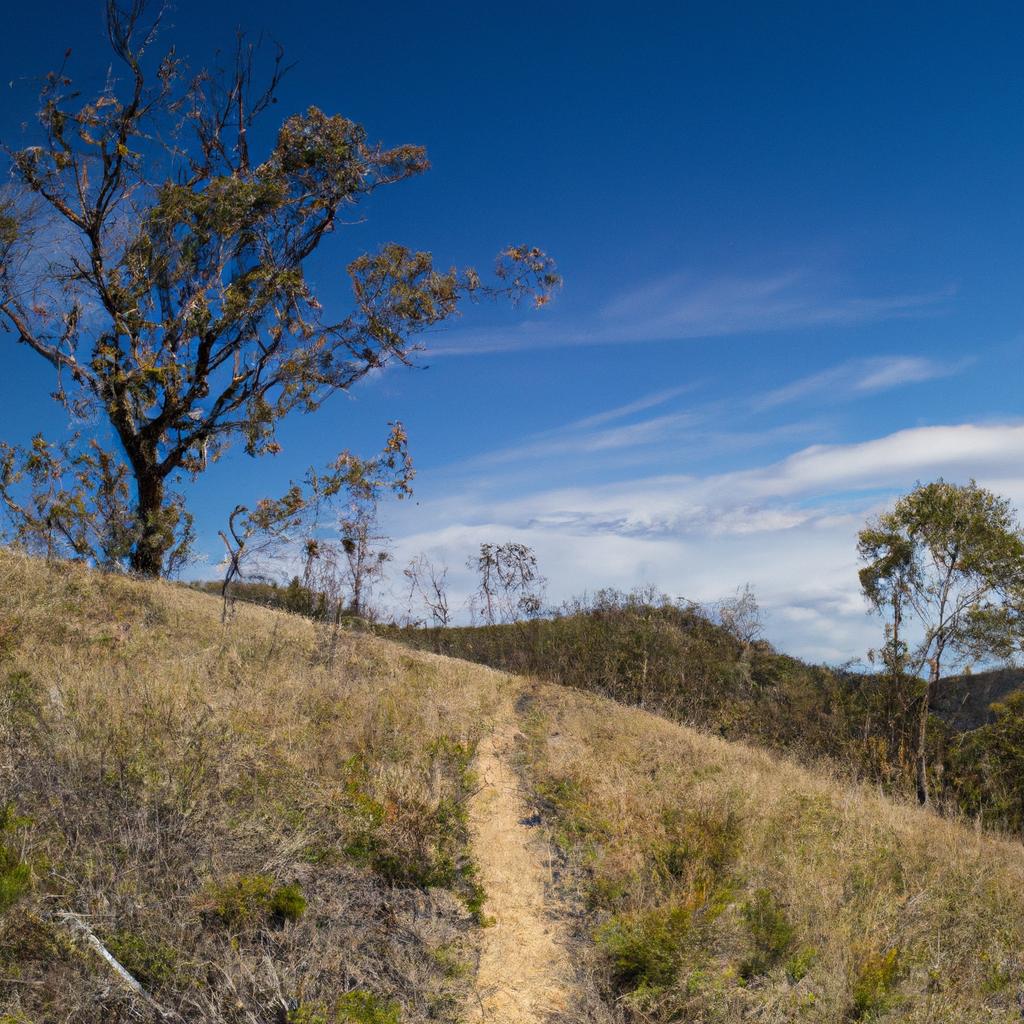 Experience the beauty of the Great Dividing Range on foot