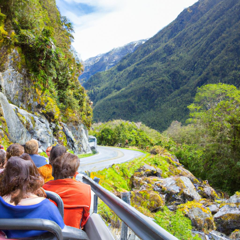 Take a scenic drive through the Haast Pass to admire the stunning natural beauty of New Zealand