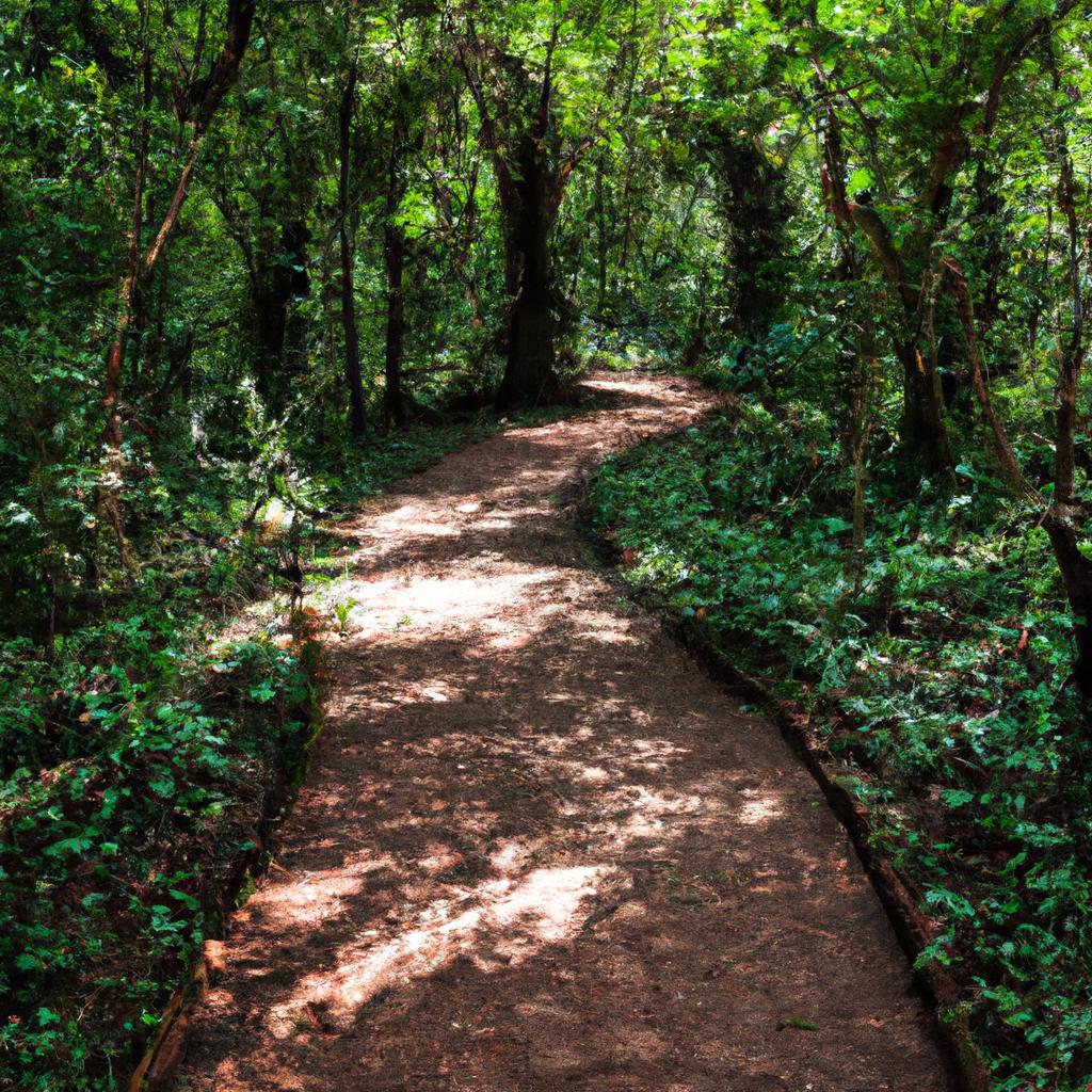Hiking trails offer a chance to explore the park's rich biodiversity