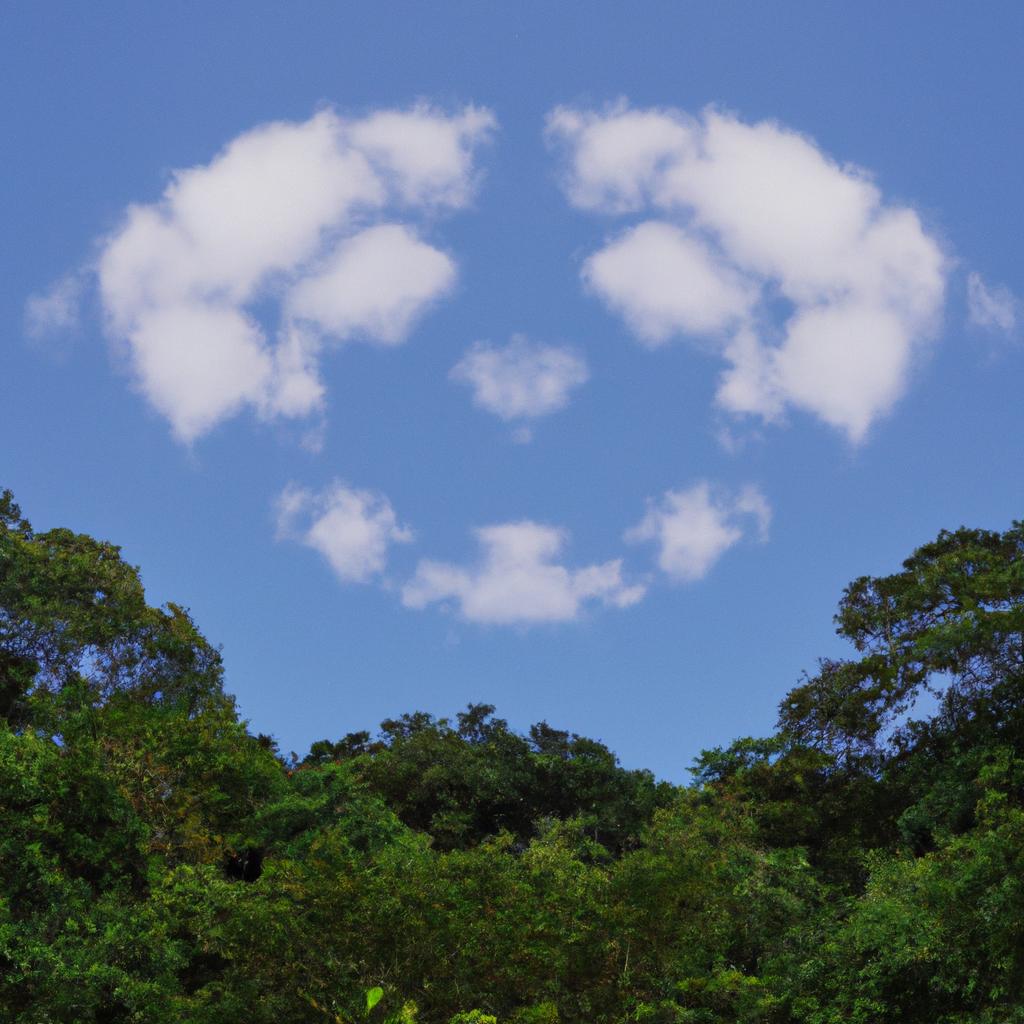 The Smiley Face Forest is a natural wonder