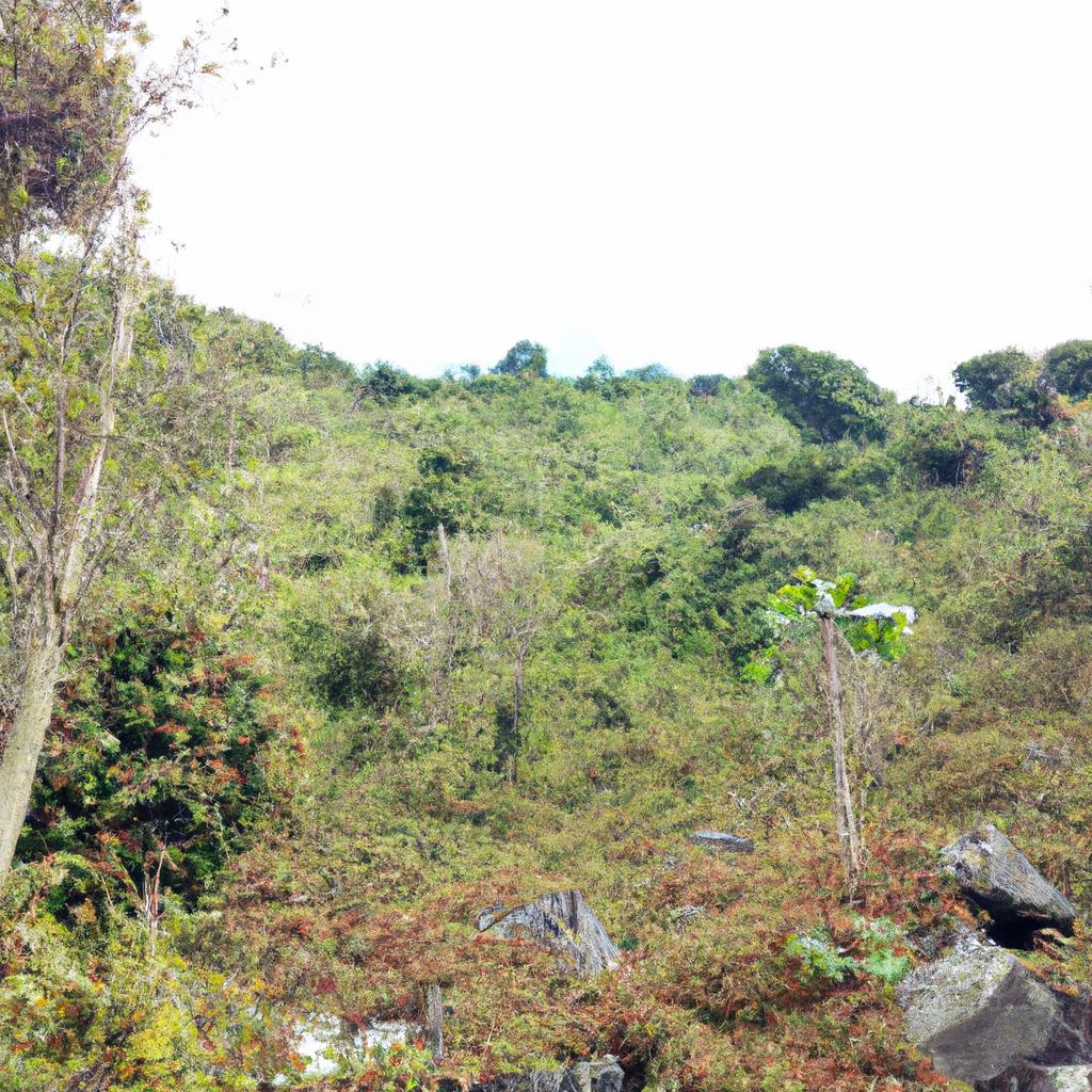 Exotic Paradise: A rare ecosystem on the mountain hosting a variety of exotic plant species.