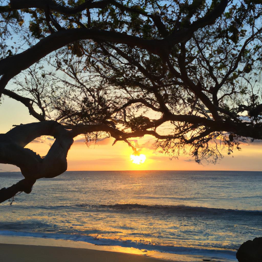 The Tree of Life Beach offers stunning sunset views