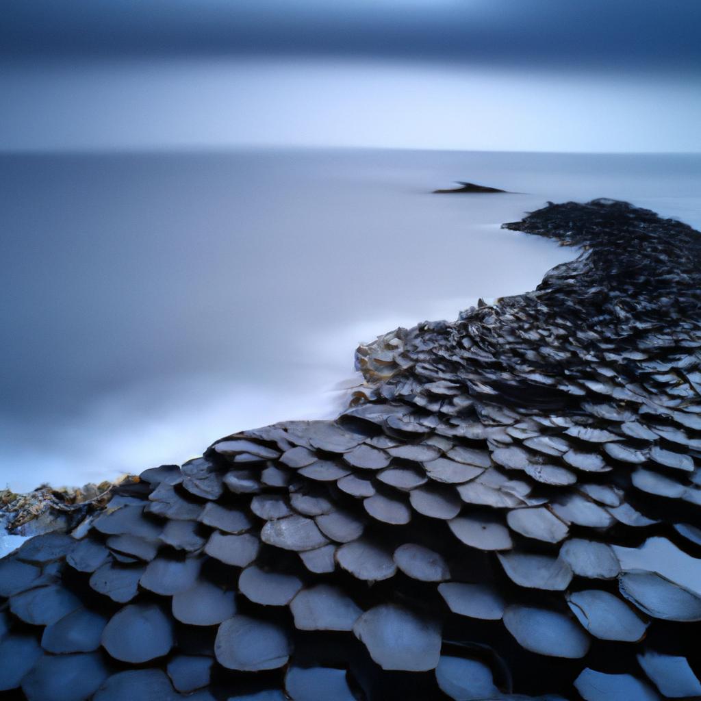 The Giant's Causeway, Northern Ireland