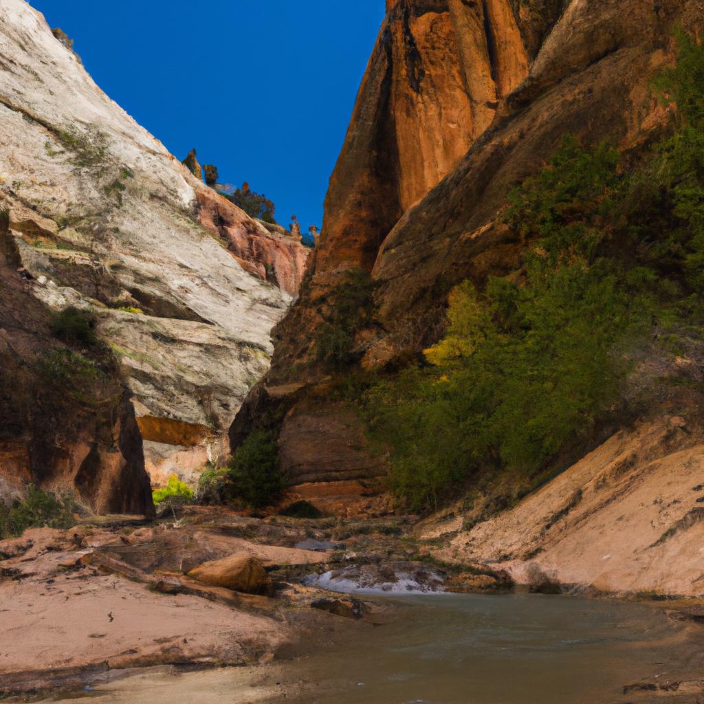 The winding Virgin River cutting through the dramatic Narrows in Zion National Park