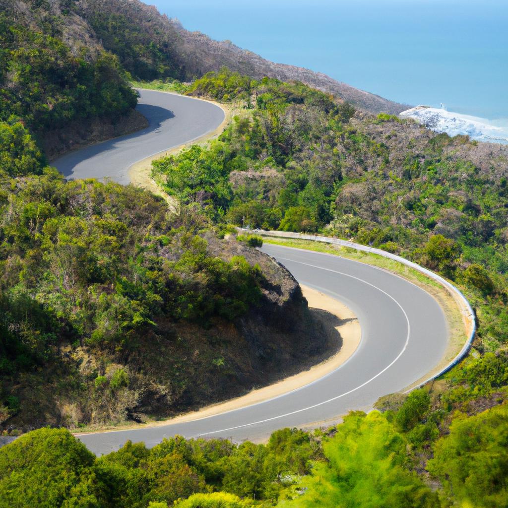 A scenic drive through the lush greenery of The Great Ocean Road
