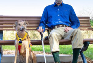 A Rescue Dog Is Trained As A Service Animal And Helps A Disabled Veteran