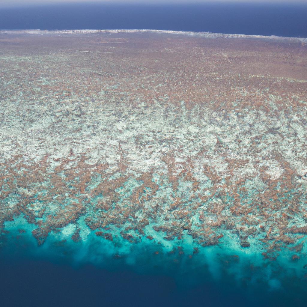 Climate change and rising ocean temperatures are causing widespread coral bleaching.