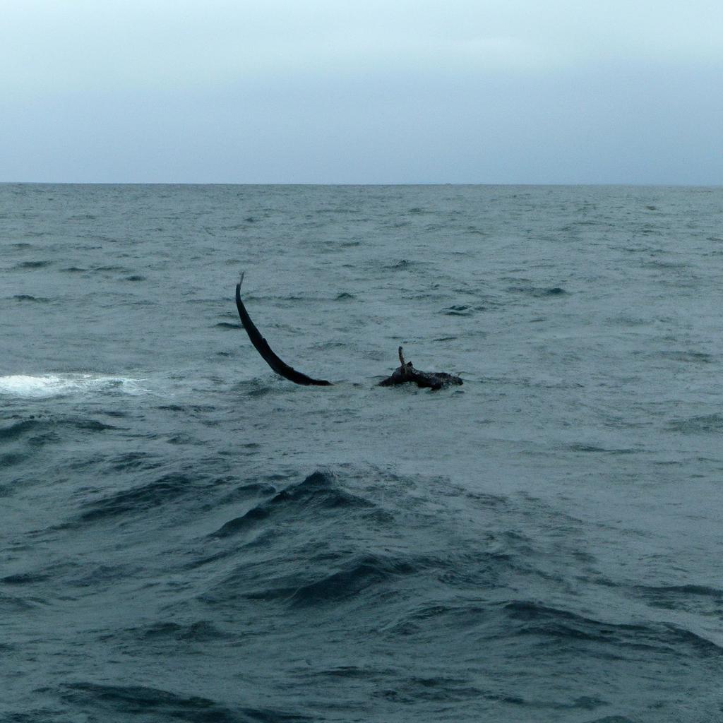A sea serpent with a dragon-like head swims in the Atlantic Ocean near France.