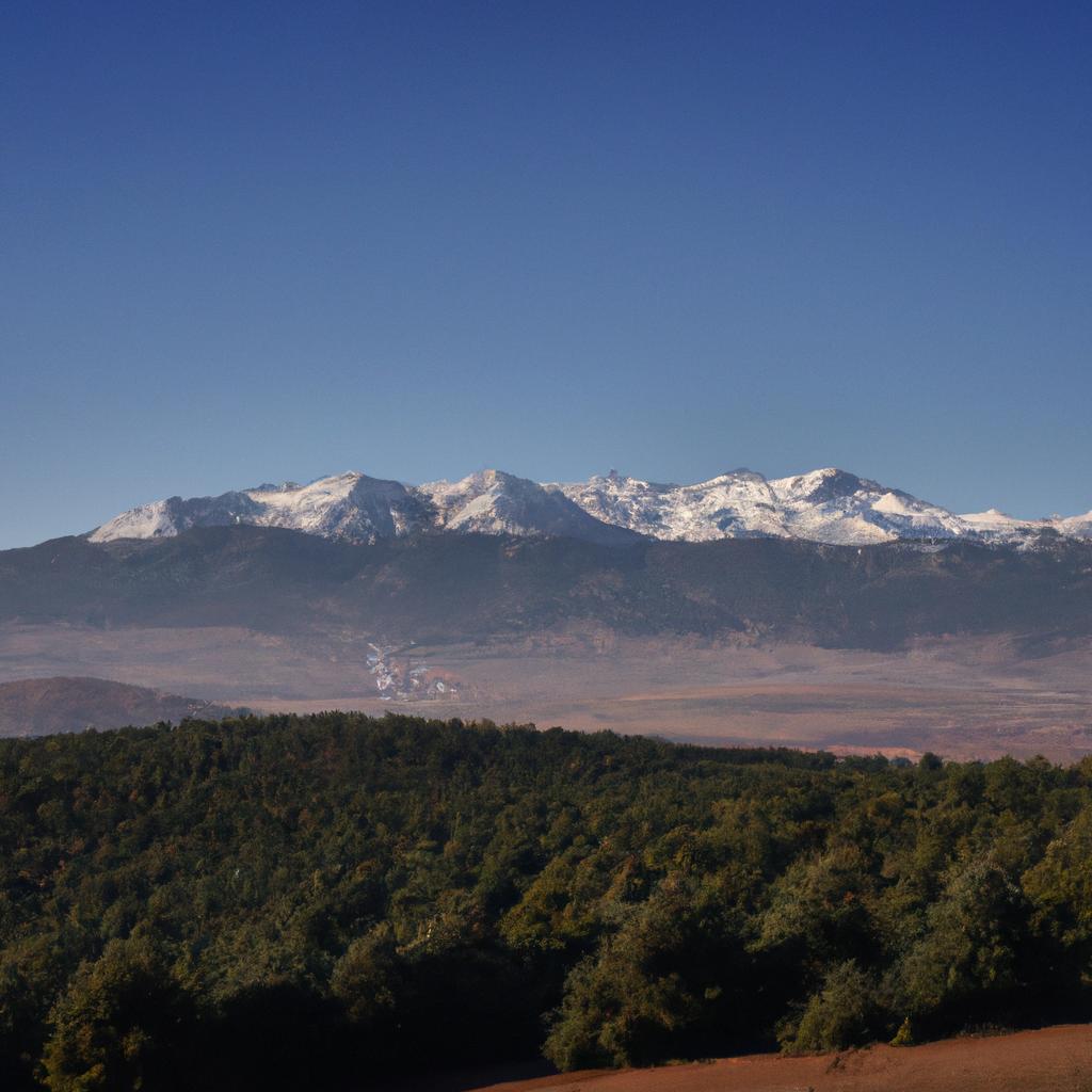Take in the stunning views of the Atlas Mountains from Ifrane National Park.