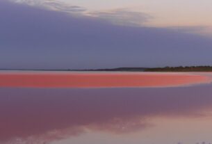 Australia Pink Sea