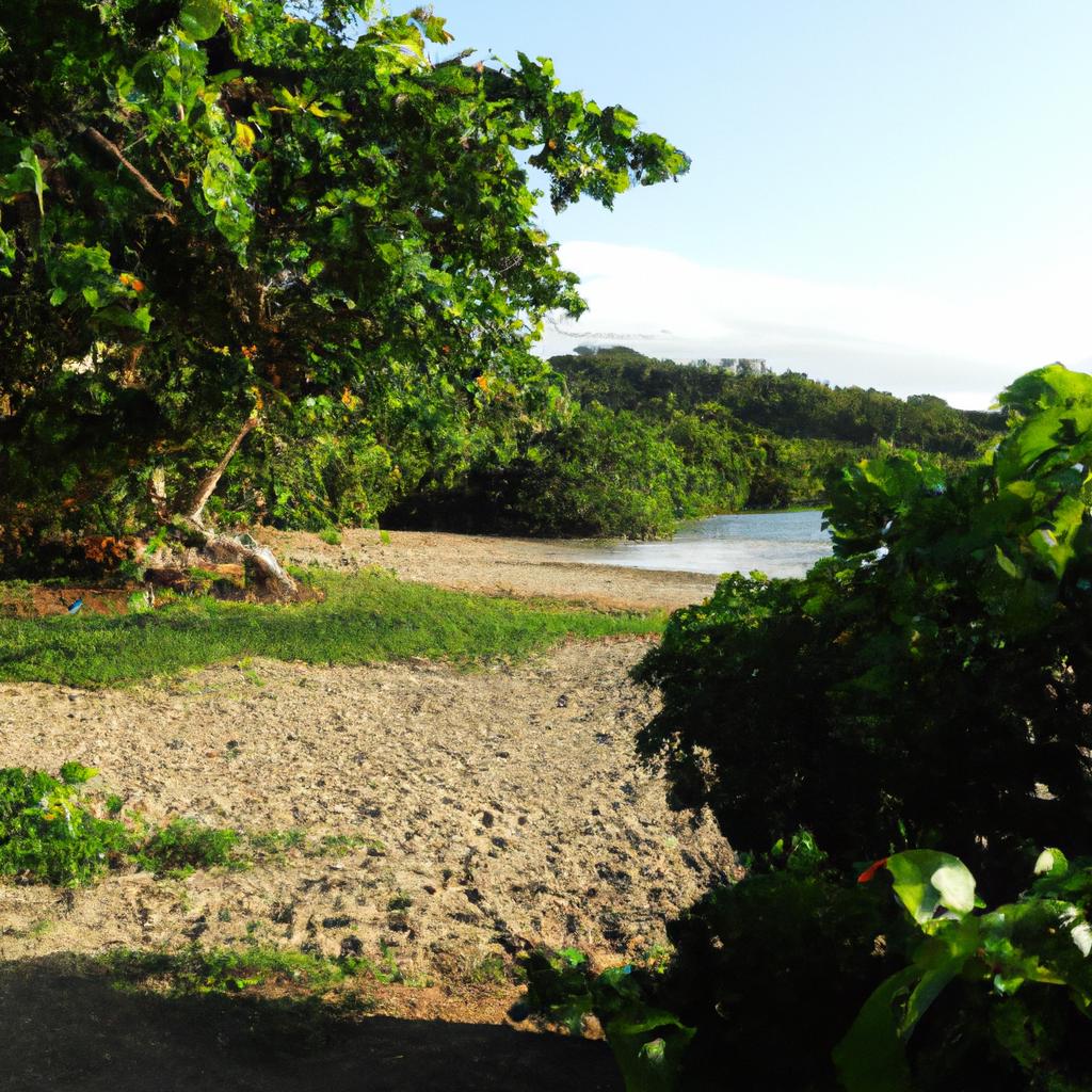 The lush vegetation surrounding Playa Gulpiyuri provides a natural shade and a picturesque backdrop for beachgoers.
