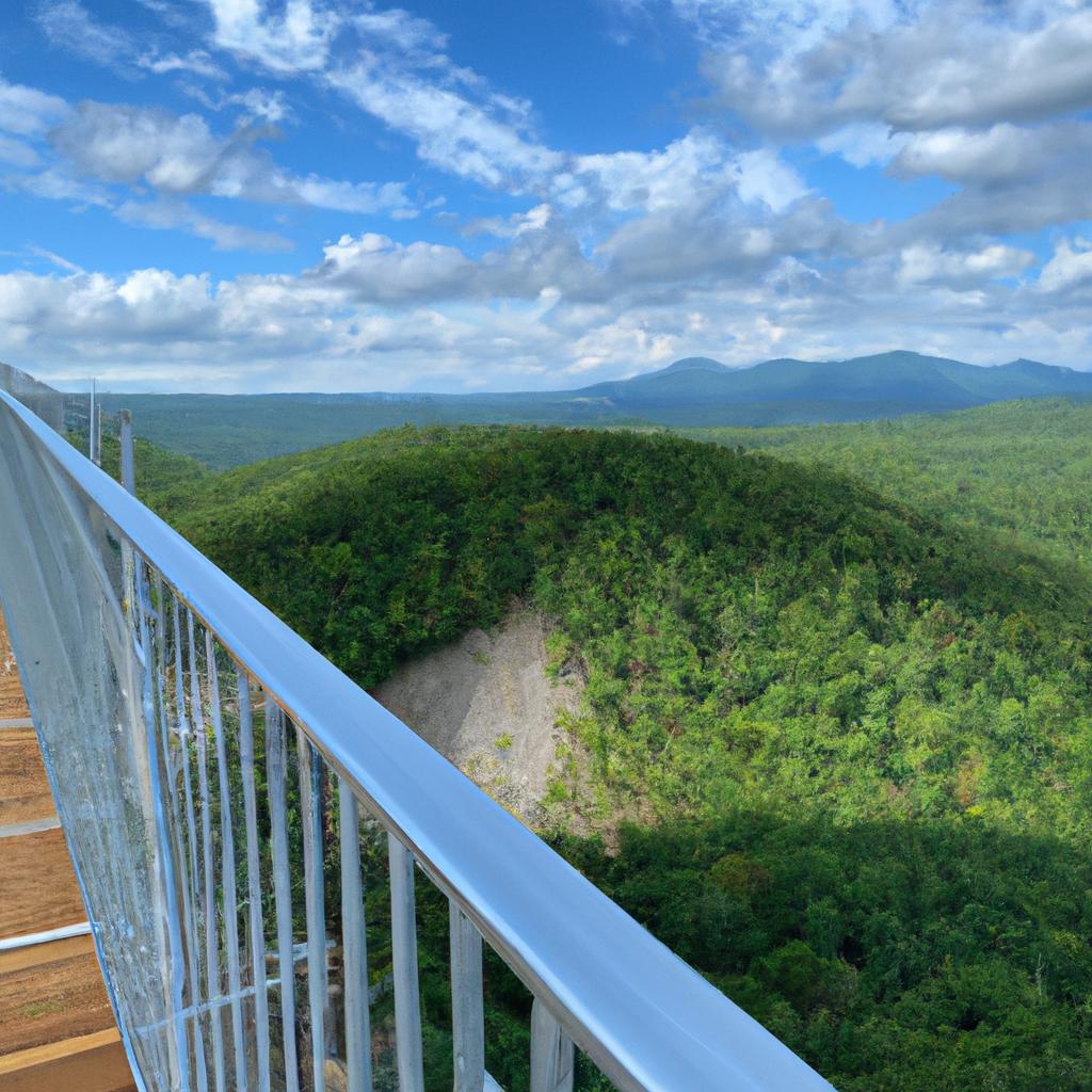 The view from the top of the skywalk bridge is magnificent