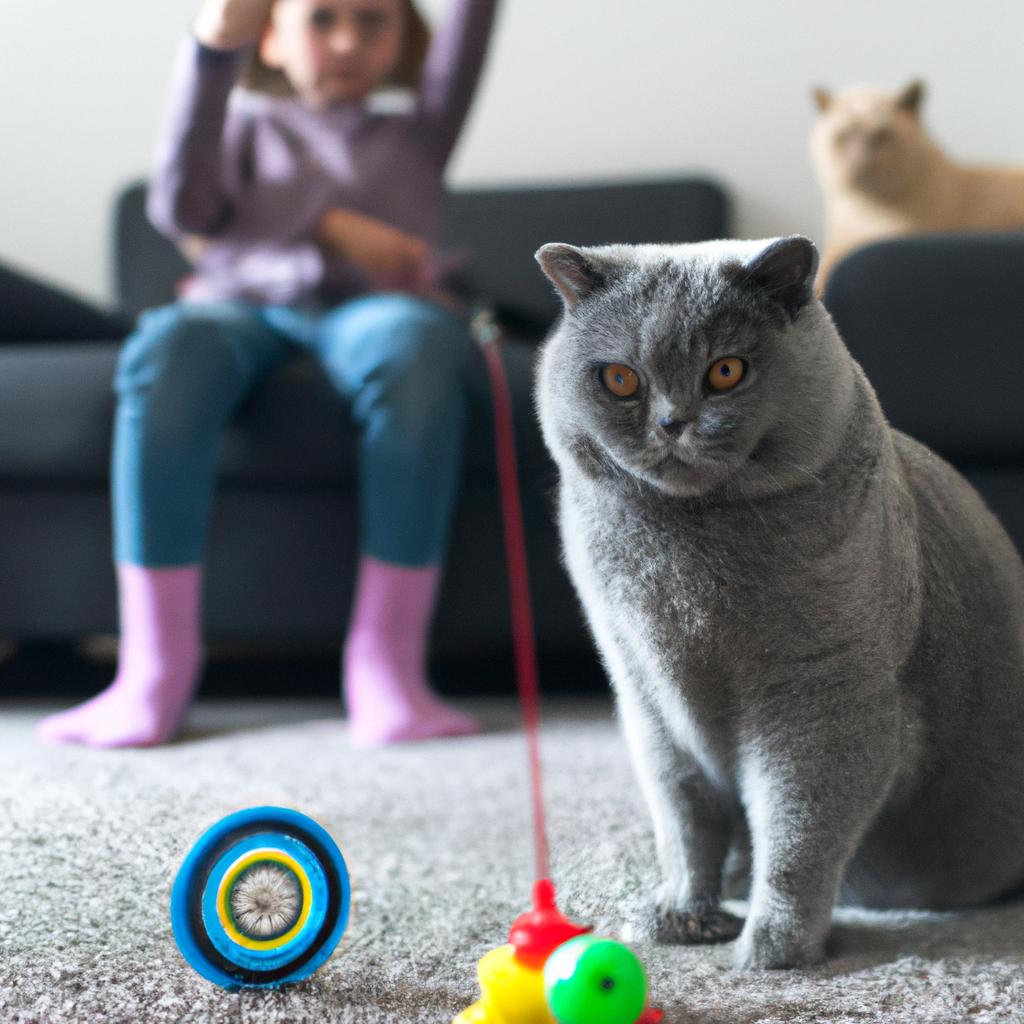 British Shorthairs are playful and sociable, making them an ideal breed for families with kids who want an interactive cat