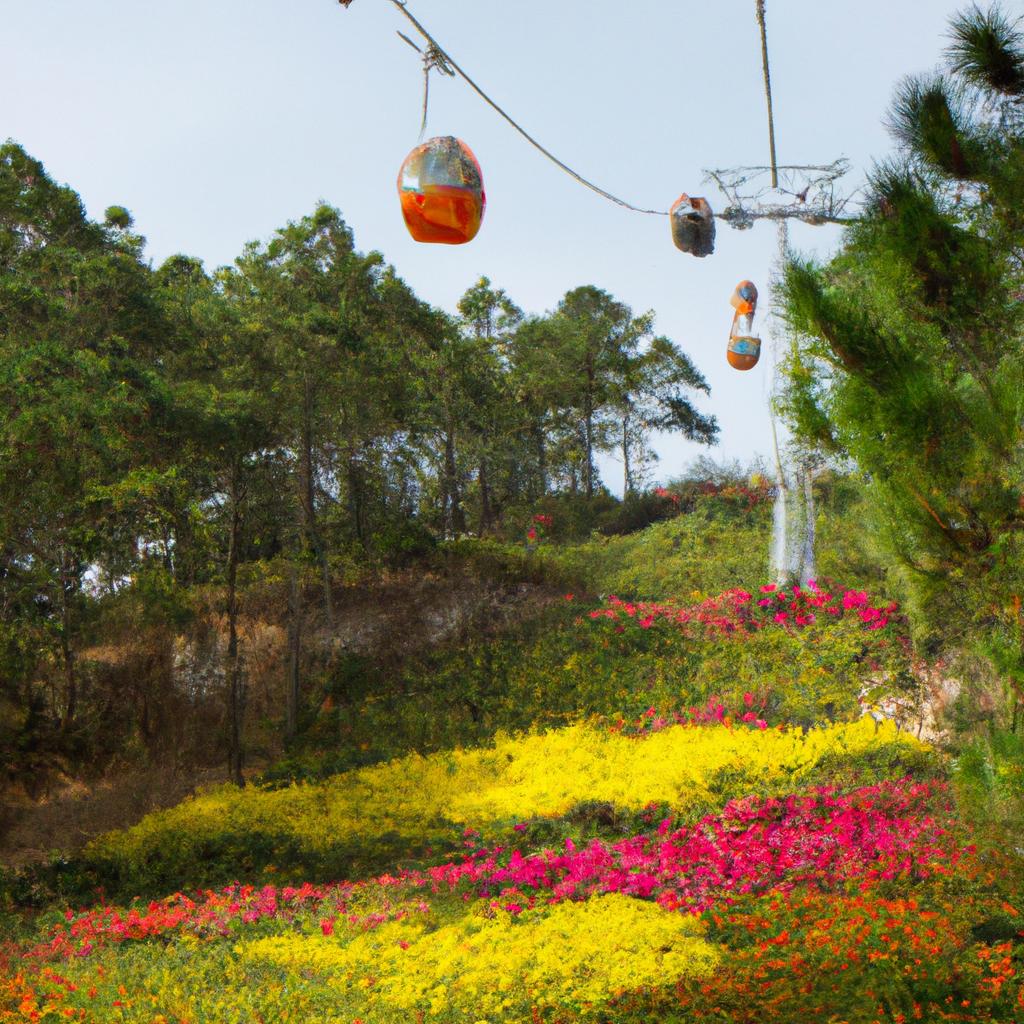 Experience the beauty of Vietnam's colorful gardens while riding the cable car.
