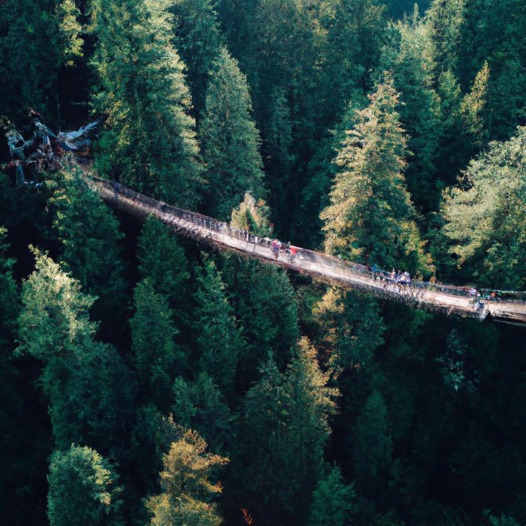 Capilano Suspension Bridge in the lush forest of North Vancouver