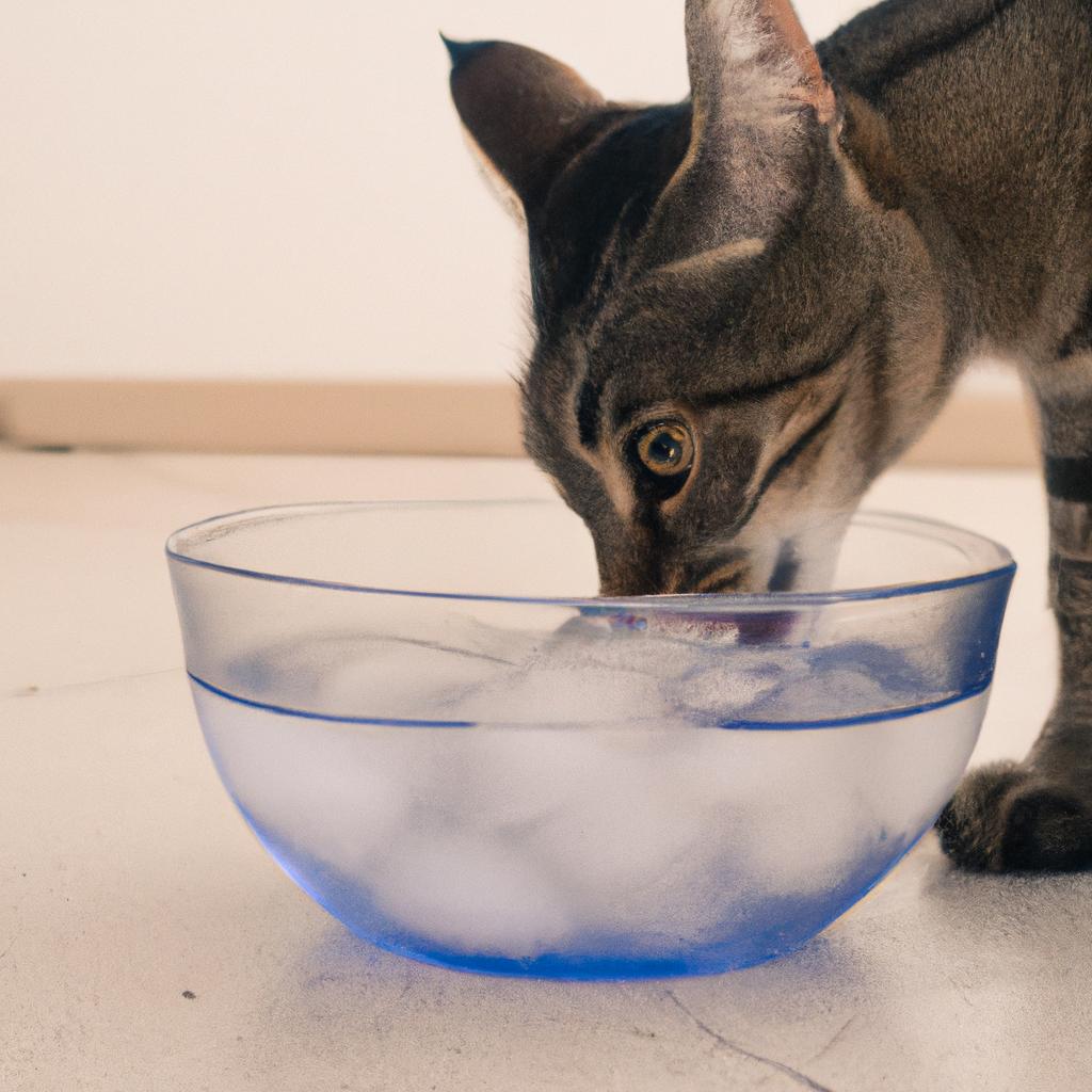 Keeping your pet hydrated is crucial during hot weather