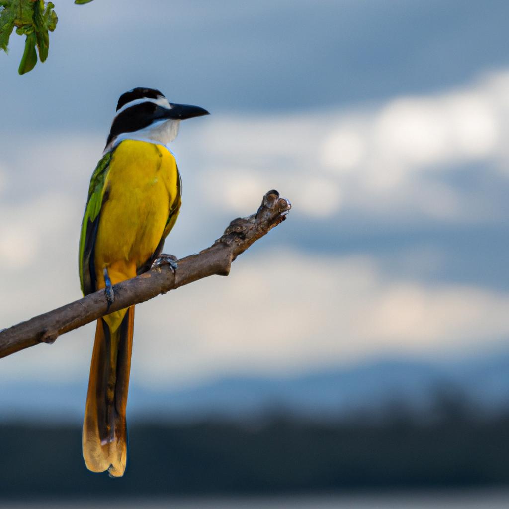 The river is home to a variety of bird species, including this vibrant and beautiful bird
