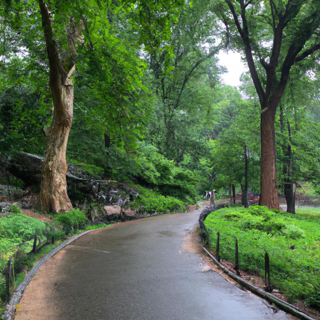 Central Park Square Miles Exploring The Enormity Of America s Favorite 