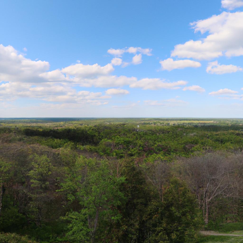 The stunning panoramic view of Chestnut Ridge Park makes it a top destination for nature lovers.