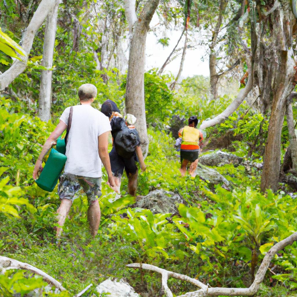 The island offers several hiking trails that take you through the heart of the rainforest, offering a chance to spot rare wildlife and enjoy stunning views.