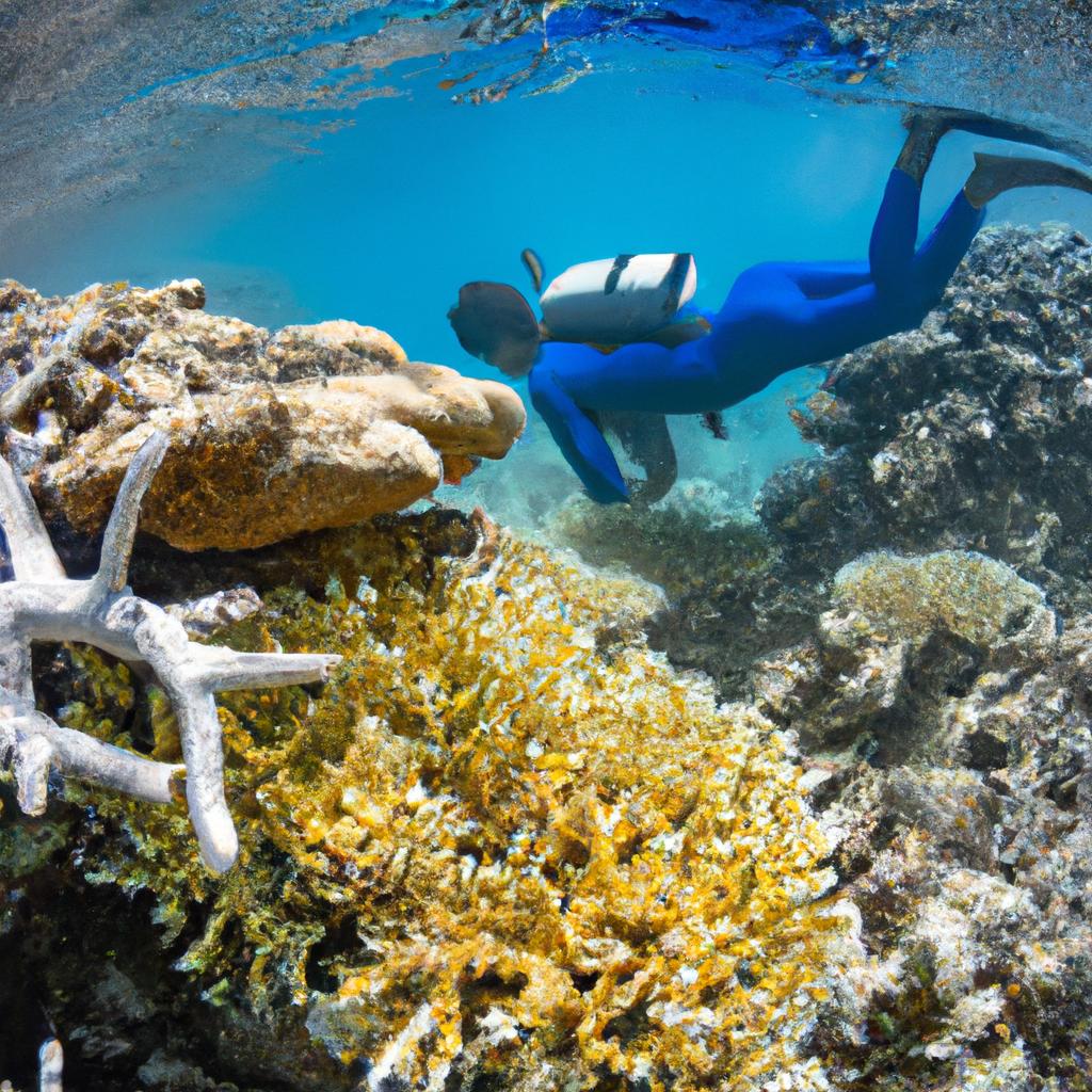 The island's crystal-clear waters are perfect for snorkeling and diving, offering a glimpse into the diverse marine life below.