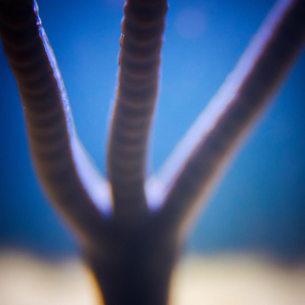 The tentacles of the underwater finger of death can be over 10 feet long.