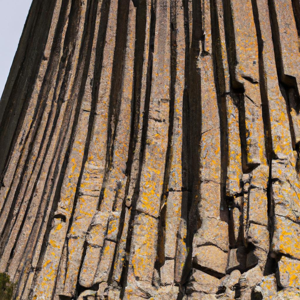 The unique texture and color of the Devils Tower Basalt up close
