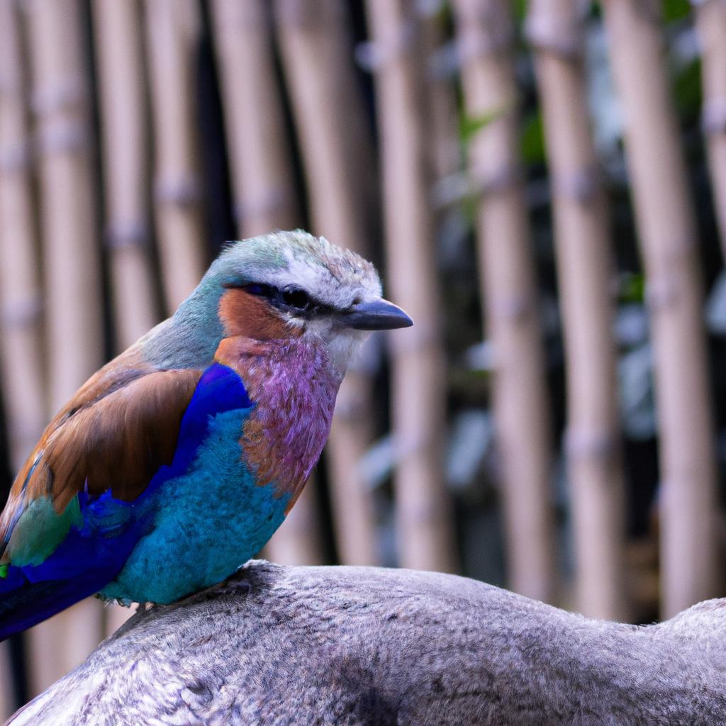 The Most Popular Pet Names of the Year TooLacks