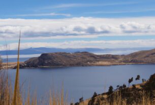 Contents Of Lago Titicaca