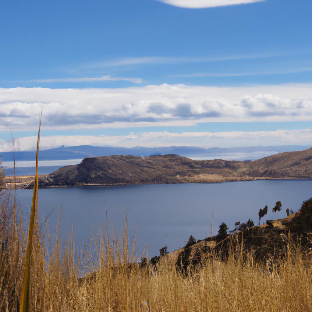 Contents Of Lago Titicaca