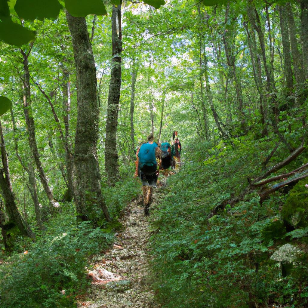 Hiking trails in the Croatian National Park offer breathtaking views of nature.