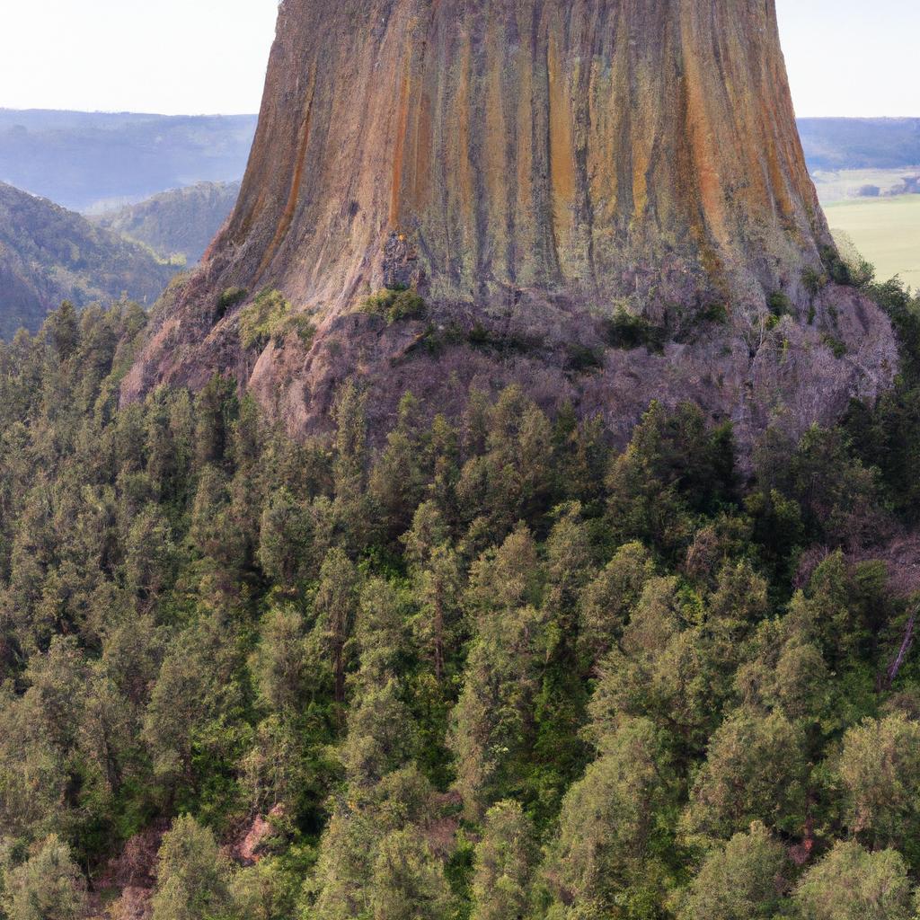 The Devils Tower, located in the Black Hills of Wyoming, is a natural landmark that attracts visitors from all over the world.