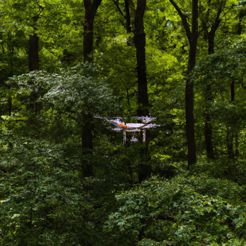 Drones are a useful tool for monitoring changes in forest cover and identifying areas at risk of deforestation.