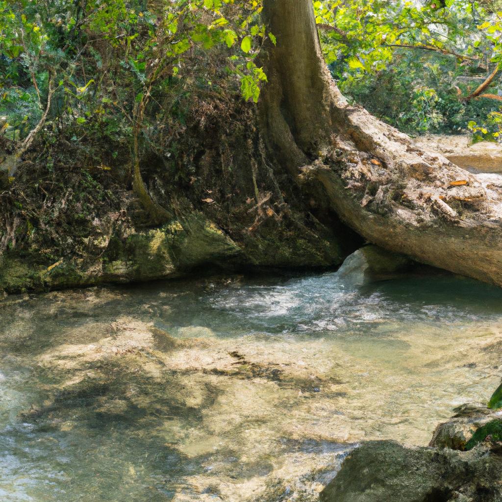 Erawan Falls is home to a variety of flora and fauna which adds to its biodiversity