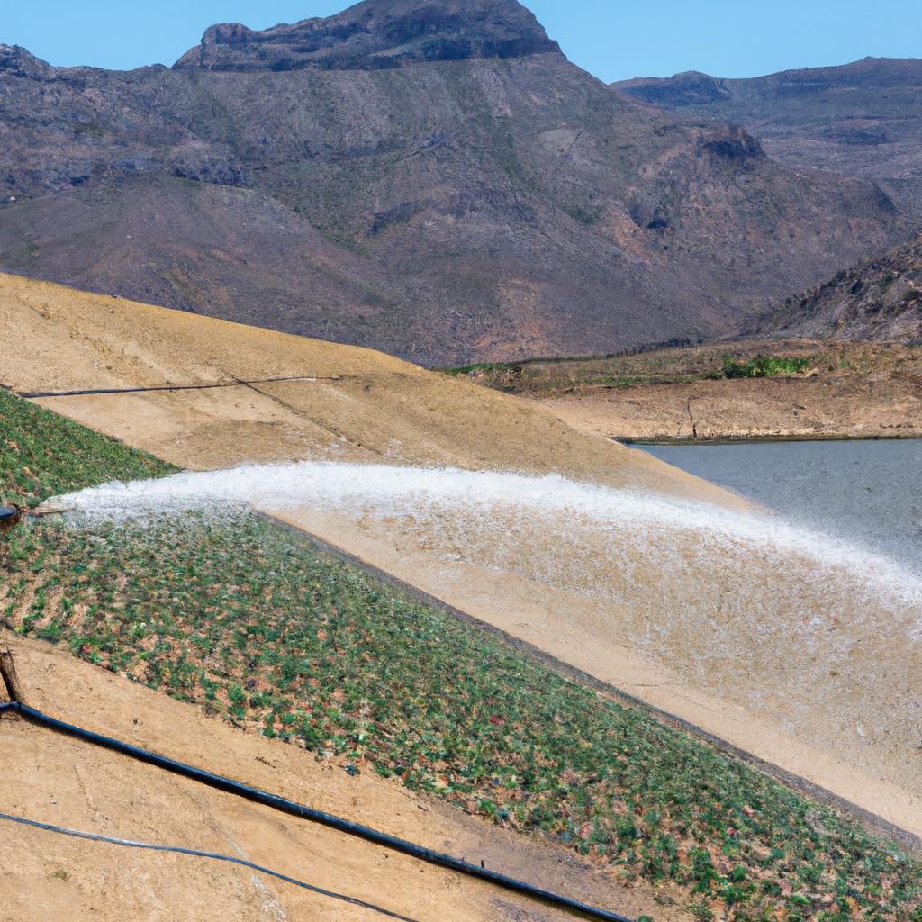 A farmer using water from the Ibex Dam to irrigate his crops and ensure their growth