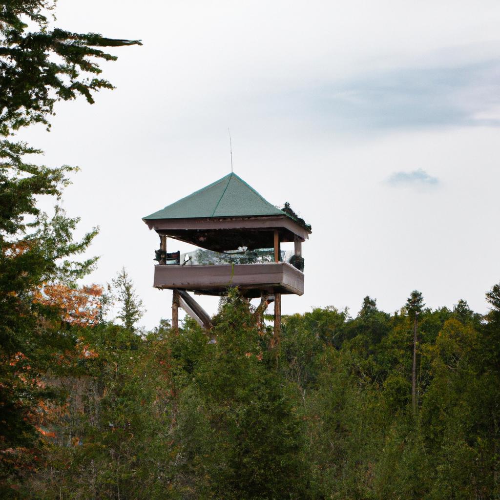 This lookout tower offers a unique perspective of the forest canopy