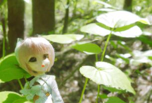 Forest Of Dolls