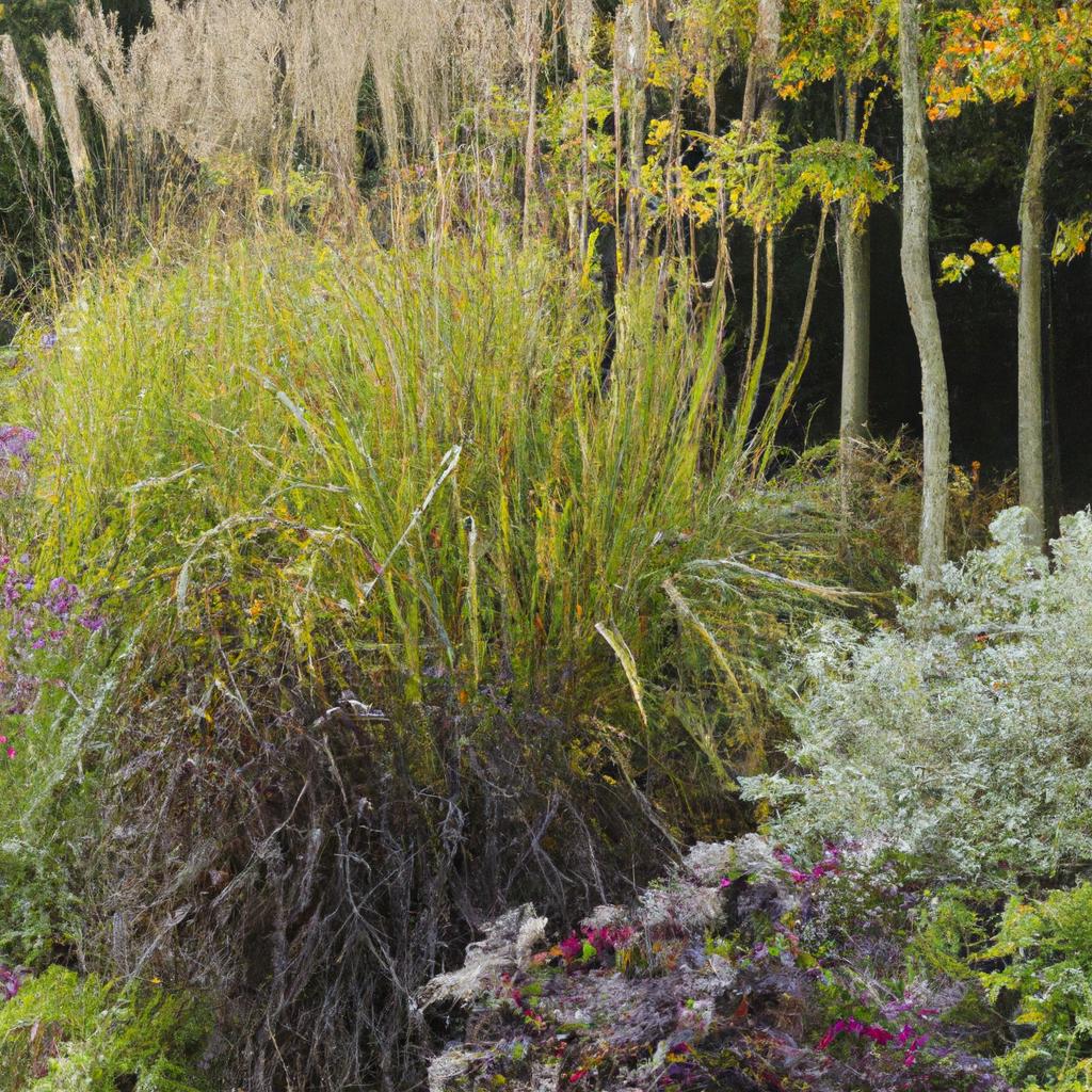 A garden border with evergreen and year-round ornamental grasses, providing a natural fence and privacy