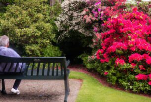 Garden Relaxation