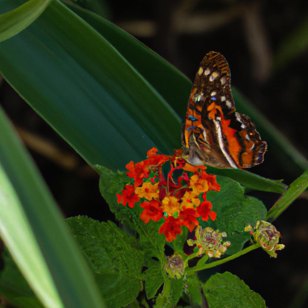 Garden Wildlife