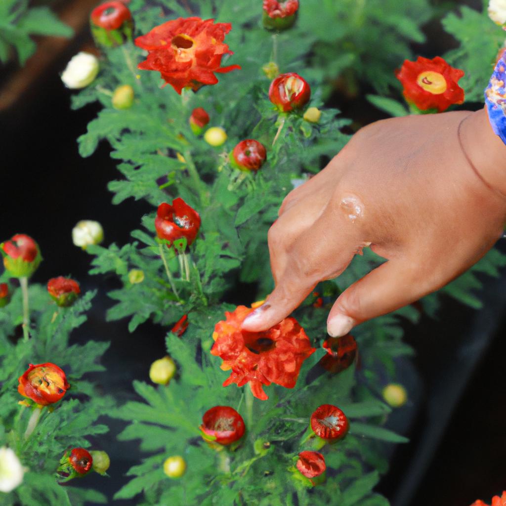 Ladybugs are a natural pest control method for flowers