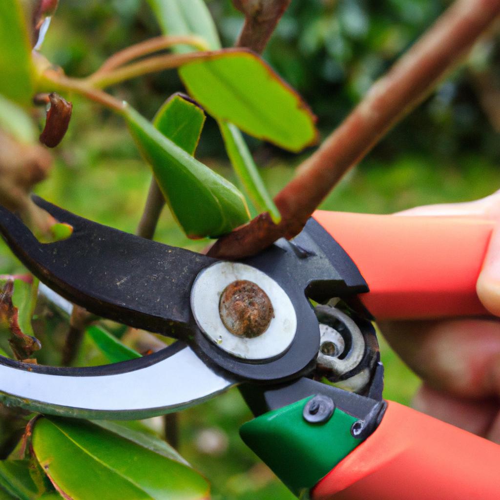 Having the right gardening tools, like a pair of pruning shears, can make maintaining your garden easier and more efficient.