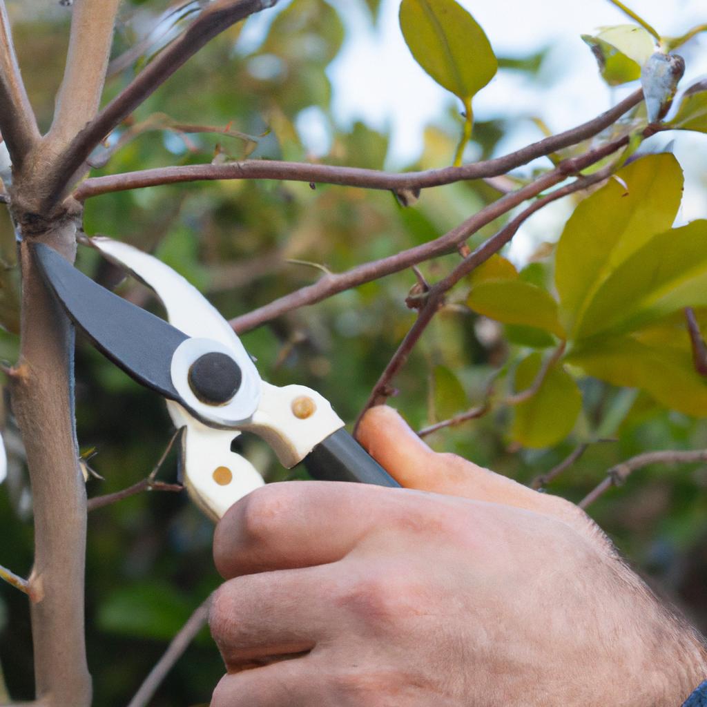 Pruning is necessary for maintaining the shape and health of trees and shrubs in a garden.