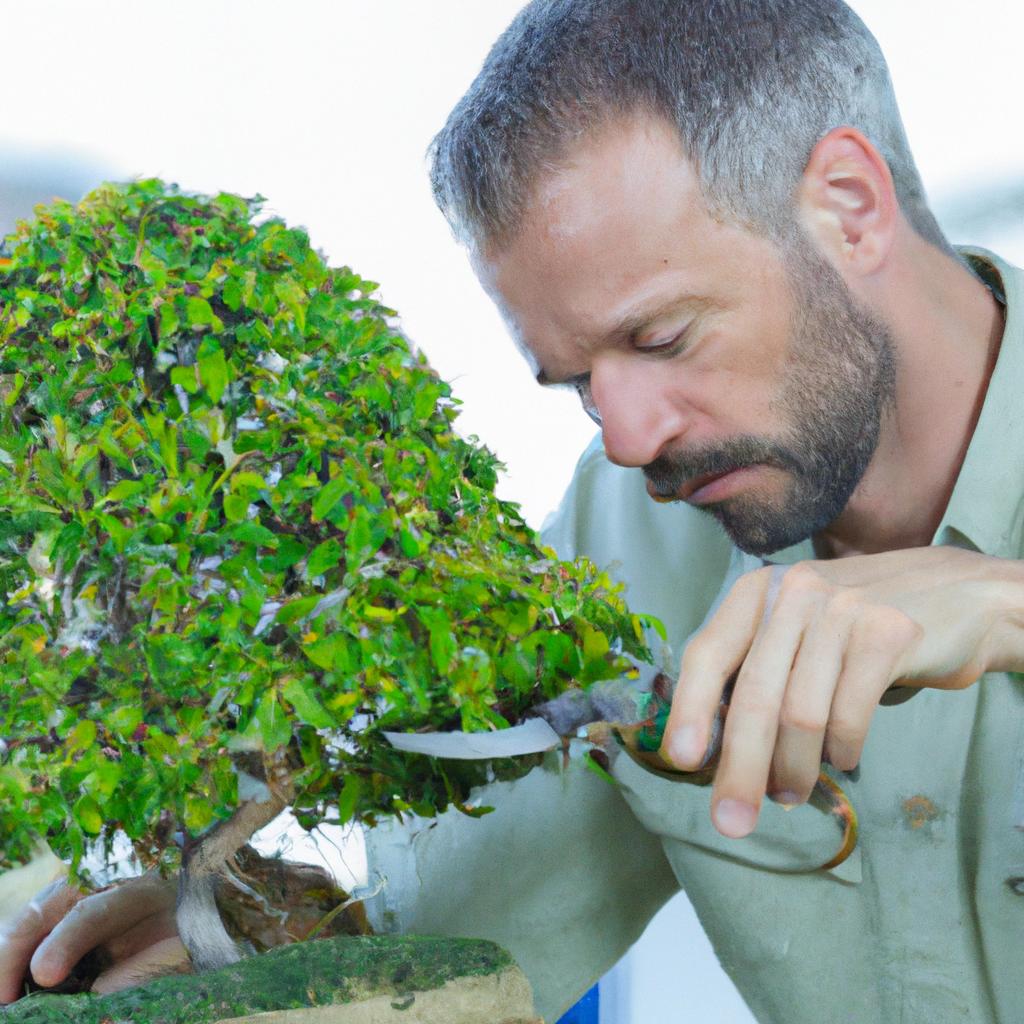 A gardener carefully pruning a small bonsai tree with a pair of scissors