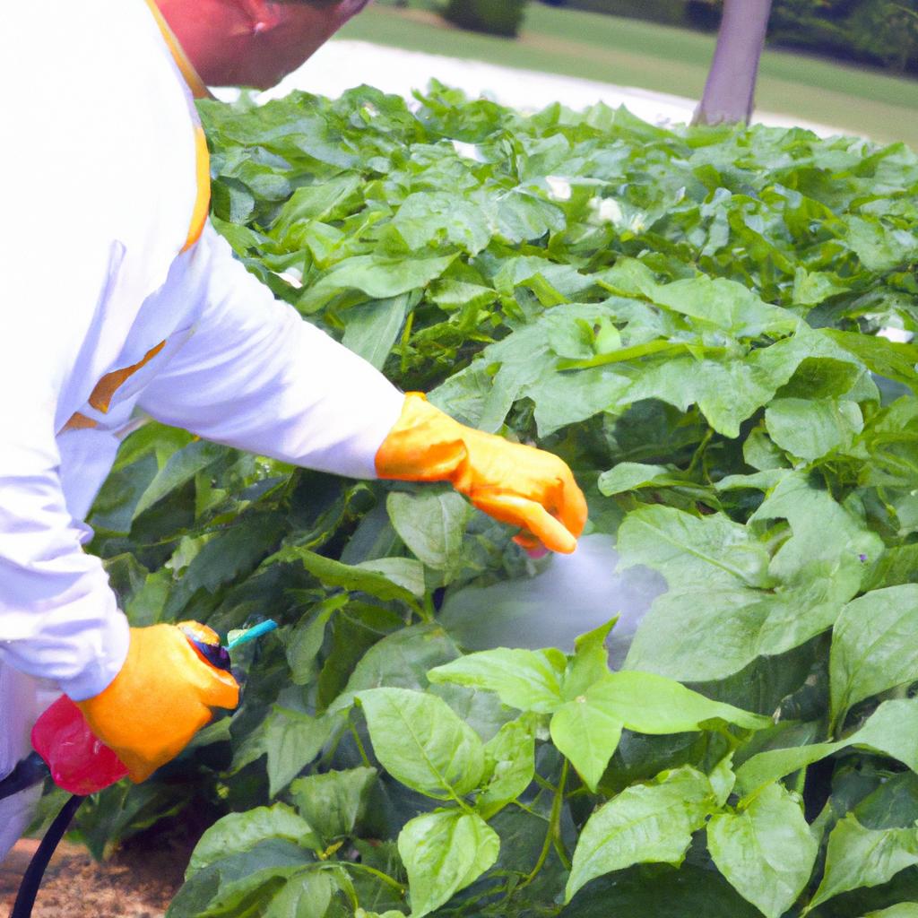 A gardener using natural methods to control pests in the garden