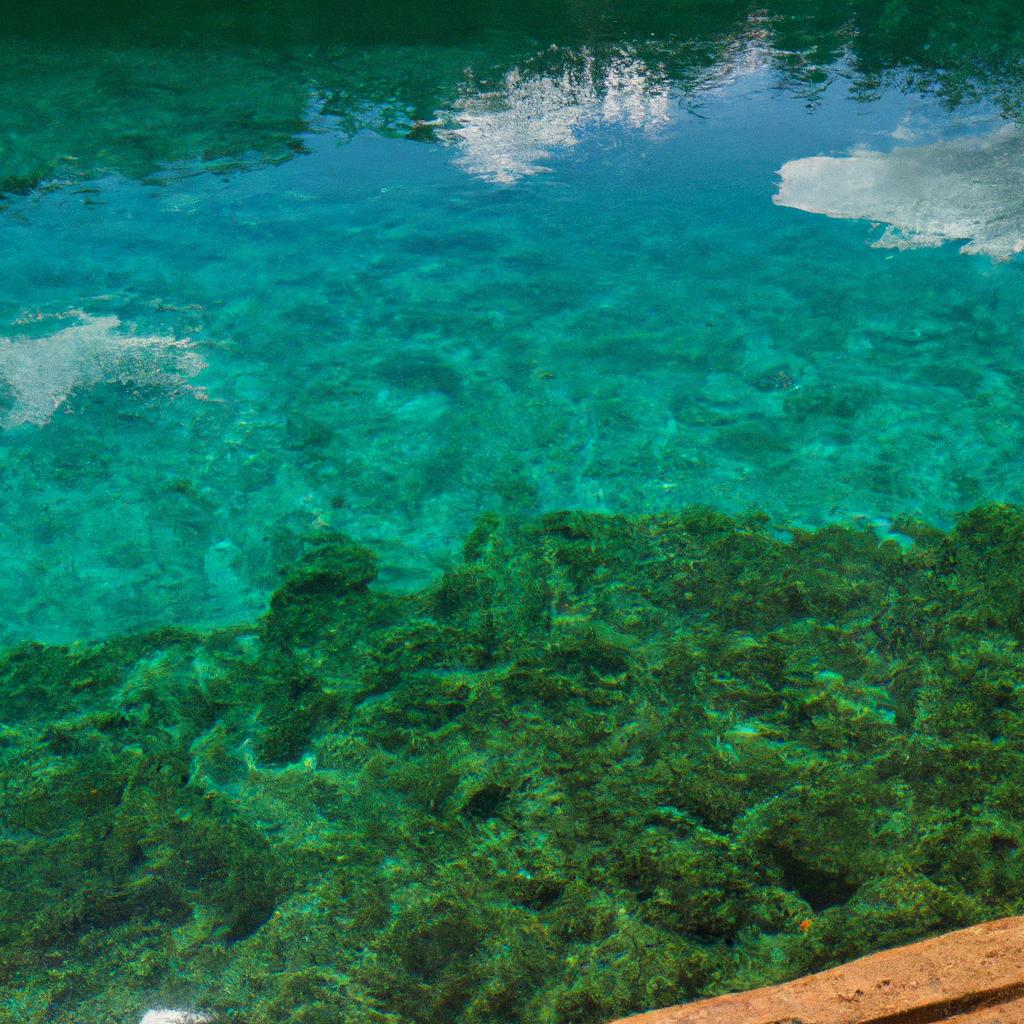 The Green Lakes, home to some of the purest water in the world