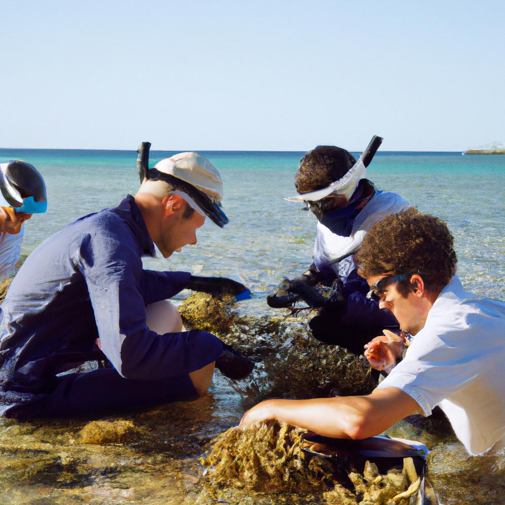Research efforts are underway to better understand and protect Australia's coral reefs.